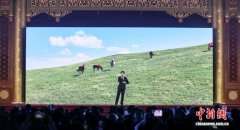 两岸中华文化峰会侧记：两首歌、几句乡音，道出台湾游子的浓浓乡愁