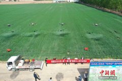山西闻喜50万亩次小麦“一喷三防”全覆盖 科技护航夏粮丰产